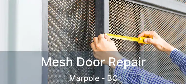  Mesh Door Repair Marpole - BC