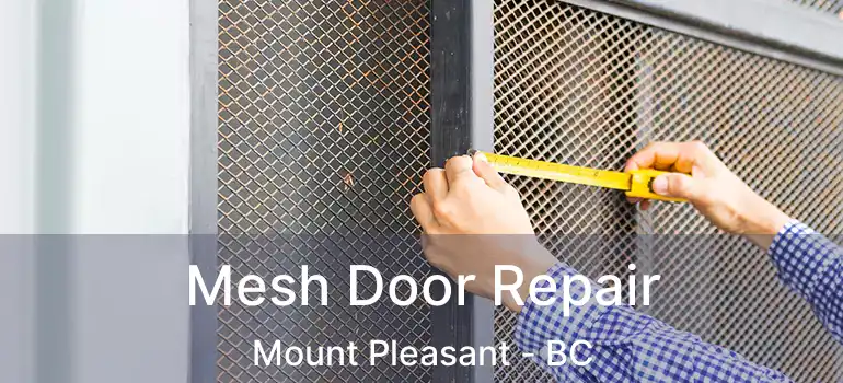 Mesh Door Repair Mount Pleasant - BC