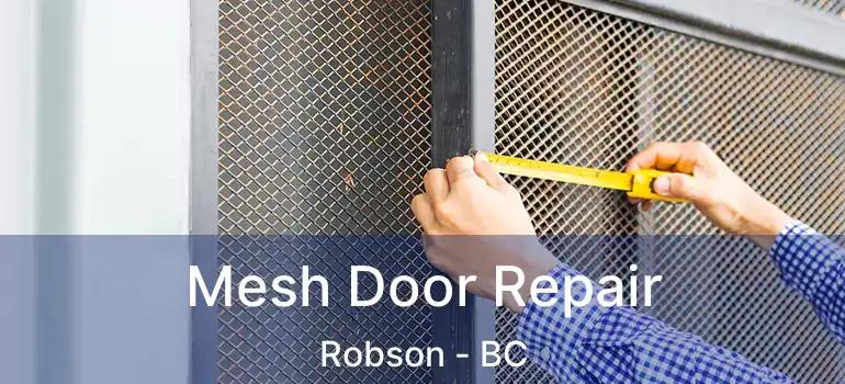  Mesh Door Repair Robson - BC