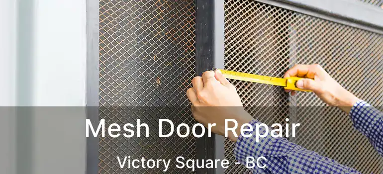  Mesh Door Repair Victory Square - BC