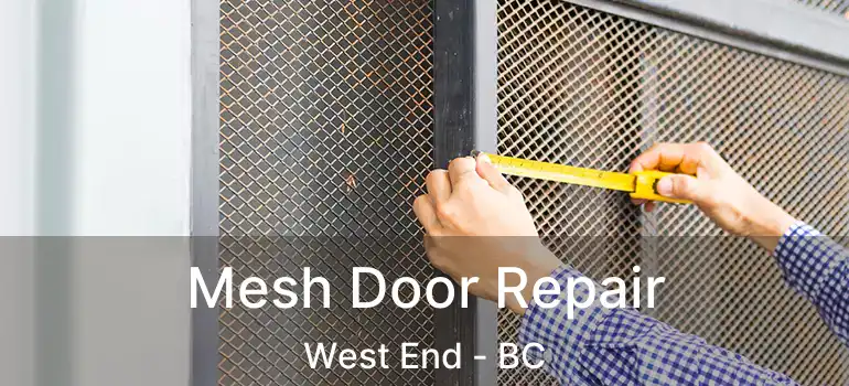  Mesh Door Repair West End - BC