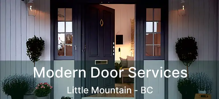  Modern Door Services Little Mountain - BC
