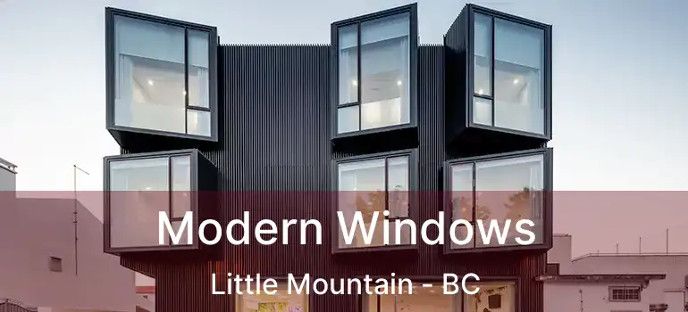 Modern Windows Little Mountain - BC