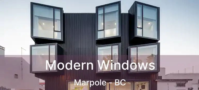  Modern Windows Marpole - BC