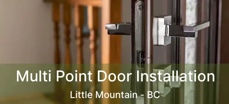  Multi Point Door Installation Little Mountain - BC