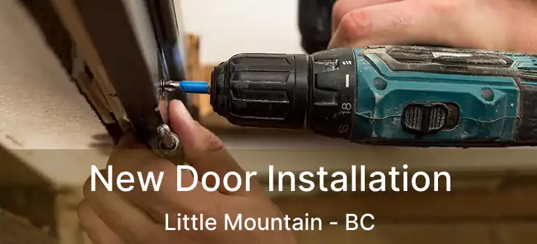  New Door Installation Little Mountain - BC