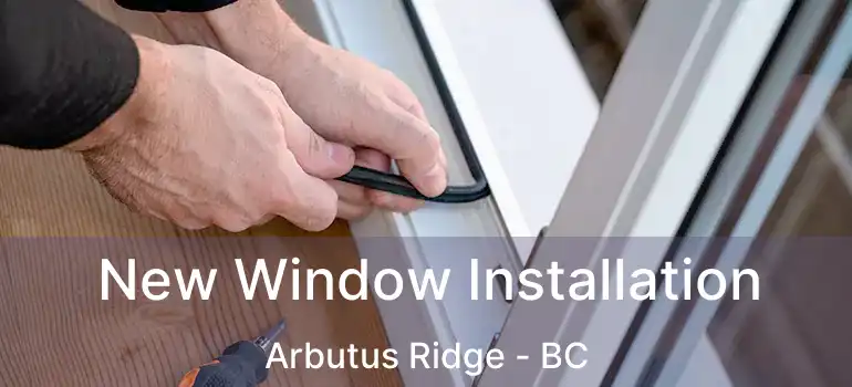  New Window Installation Arbutus Ridge - BC