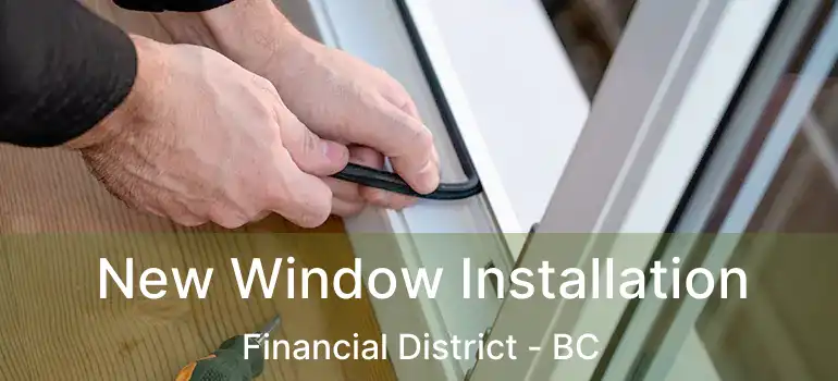  New Window Installation Financial District - BC