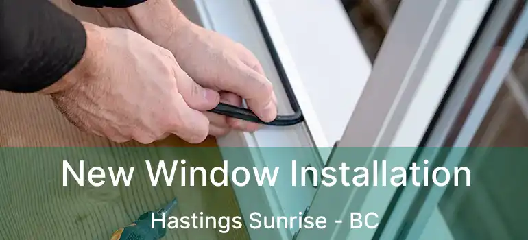  New Window Installation Hastings Sunrise - BC