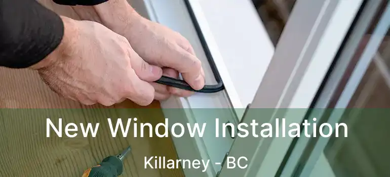  New Window Installation Killarney - BC