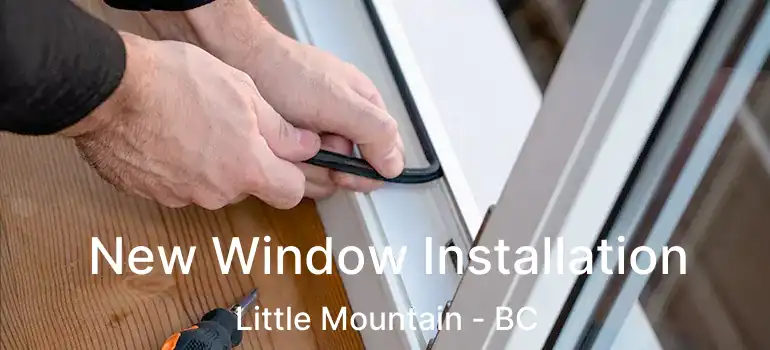  New Window Installation Little Mountain - BC