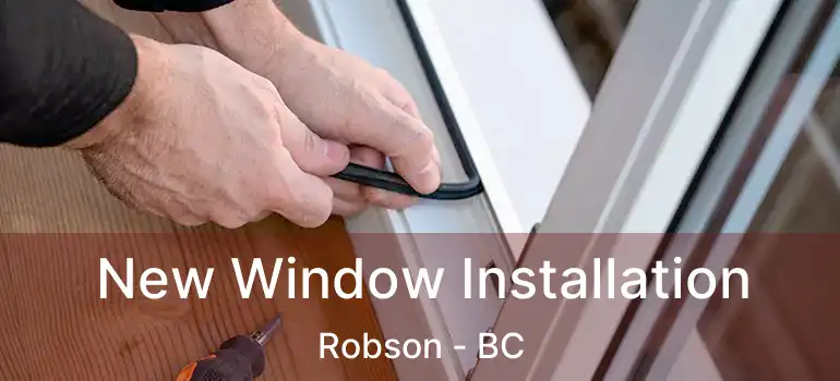  New Window Installation Robson - BC