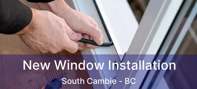  New Window Installation South Cambie - BC