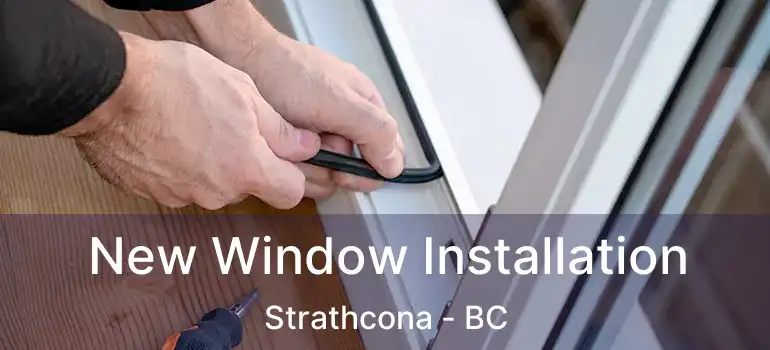  New Window Installation Strathcona - BC