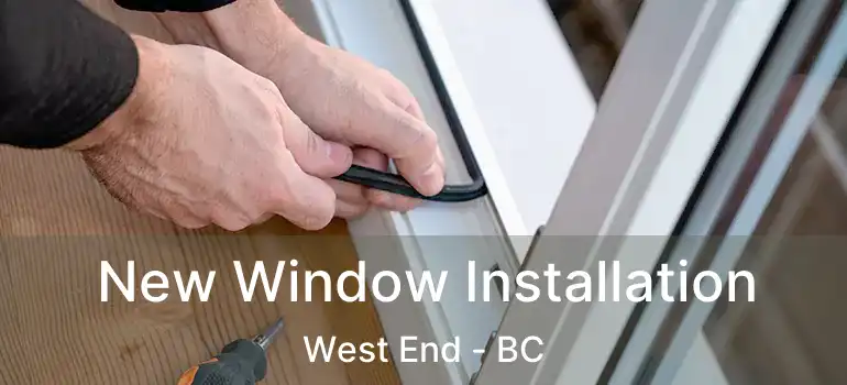  New Window Installation West End - BC