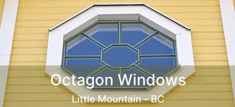 Octagon Windows Little Mountain - BC