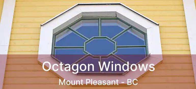  Octagon Windows Mount Pleasant - BC