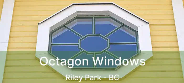  Octagon Windows Riley Park - BC