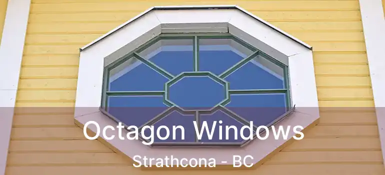  Octagon Windows Strathcona - BC