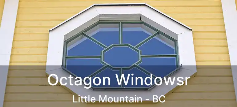  Octagon Windowsr Little Mountain - BC