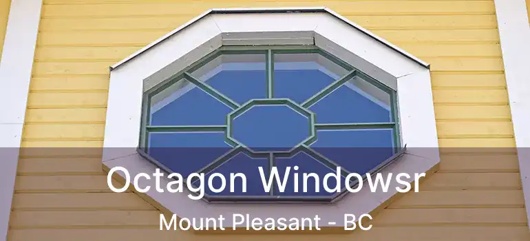  Octagon Windowsr Mount Pleasant - BC