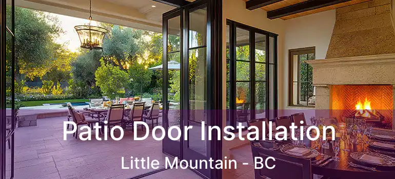  Patio Door Installation Little Mountain - BC