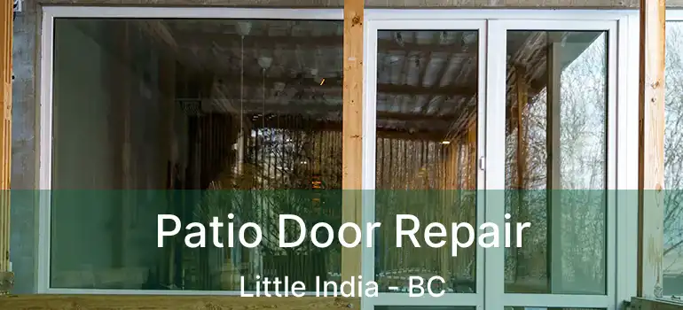  Patio Door Repair Little India - BC