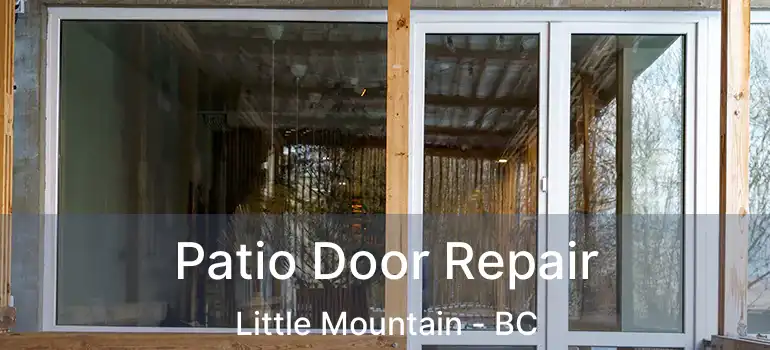  Patio Door Repair Little Mountain - BC
