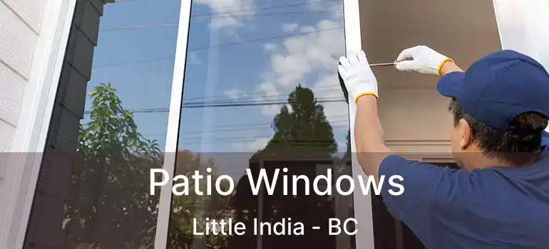  Patio Windows Little India - BC