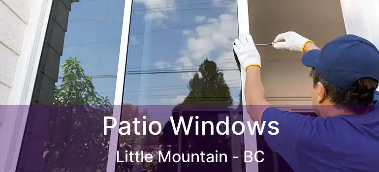  Patio Windows Little Mountain - BC