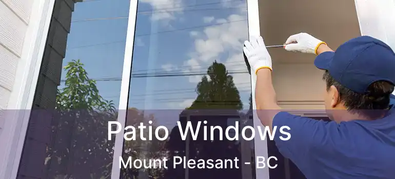  Patio Windows Mount Pleasant - BC
