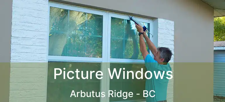  Picture Windows Arbutus Ridge - BC