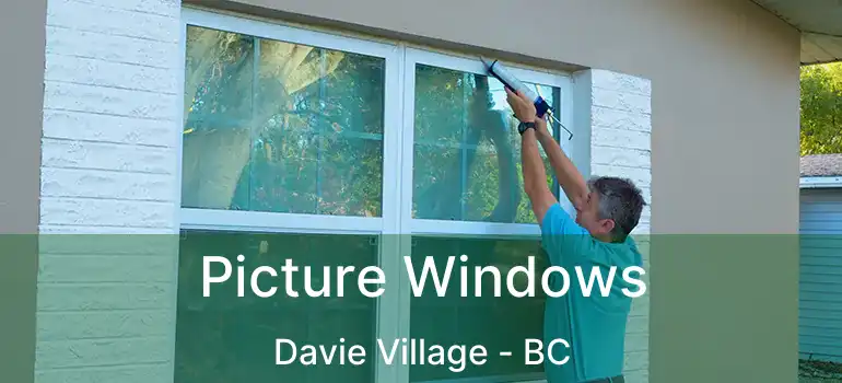  Picture Windows Davie Village - BC