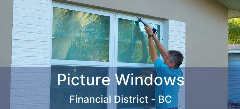  Picture Windows Financial District - BC