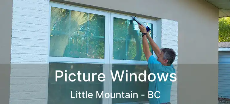  Picture Windows Little Mountain - BC