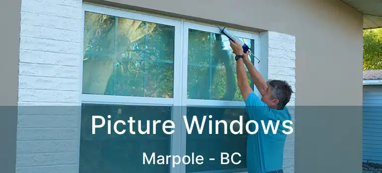  Picture Windows Marpole - BC