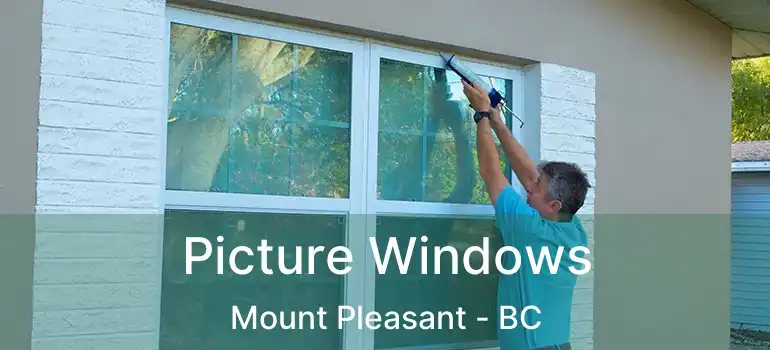  Picture Windows Mount Pleasant - BC