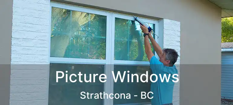  Picture Windows Strathcona - BC