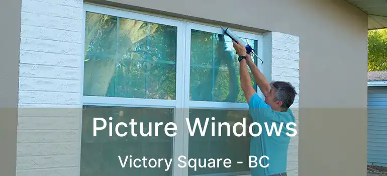  Picture Windows Victory Square - BC