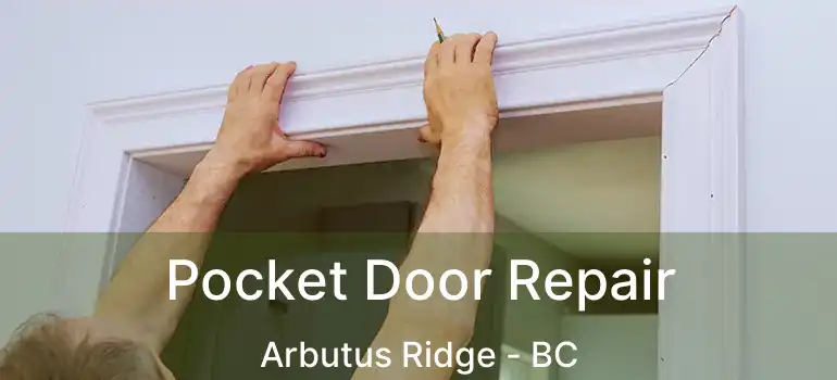  Pocket Door Repair Arbutus Ridge - BC