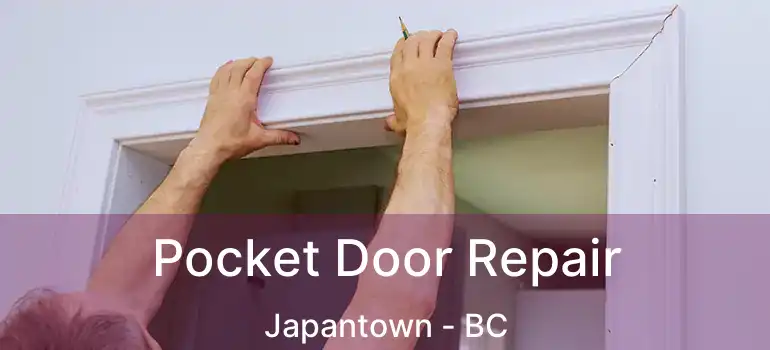  Pocket Door Repair Japantown - BC