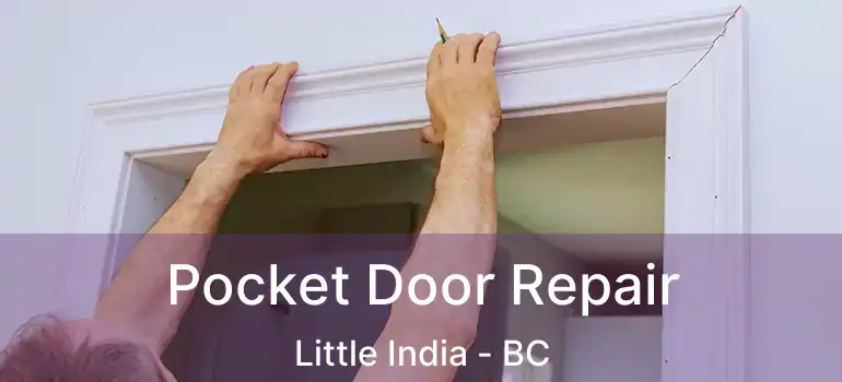  Pocket Door Repair Little India - BC