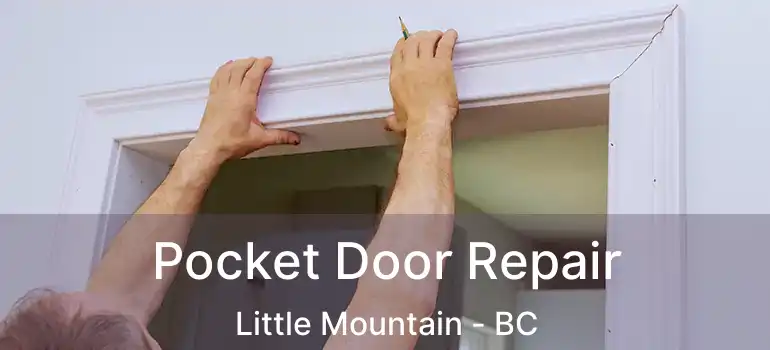  Pocket Door Repair Little Mountain - BC