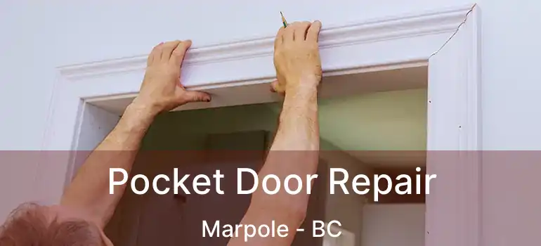  Pocket Door Repair Marpole - BC
