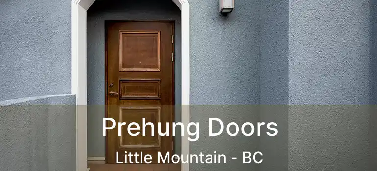  Prehung Doors Little Mountain - BC