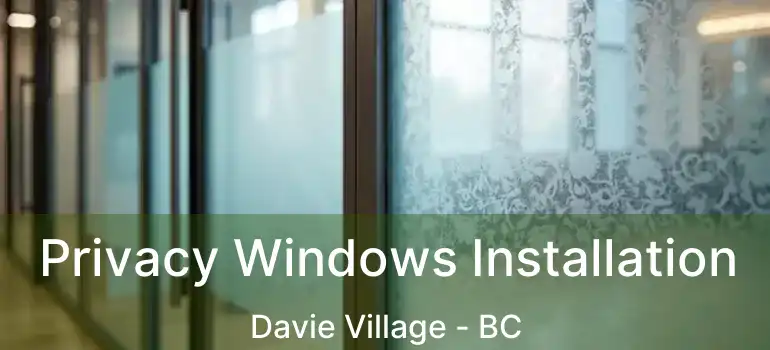  Privacy Windows Installation Davie Village - BC