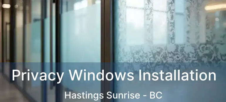  Privacy Windows Installation Hastings Sunrise - BC
