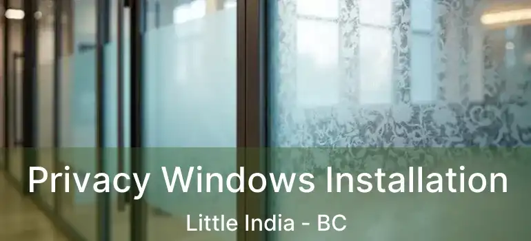  Privacy Windows Installation Little India - BC