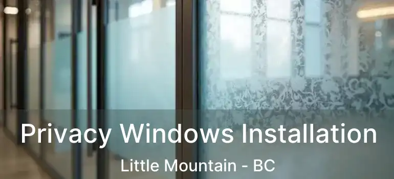  Privacy Windows Installation Little Mountain - BC