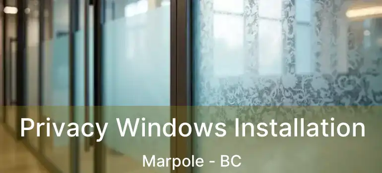  Privacy Windows Installation Marpole - BC